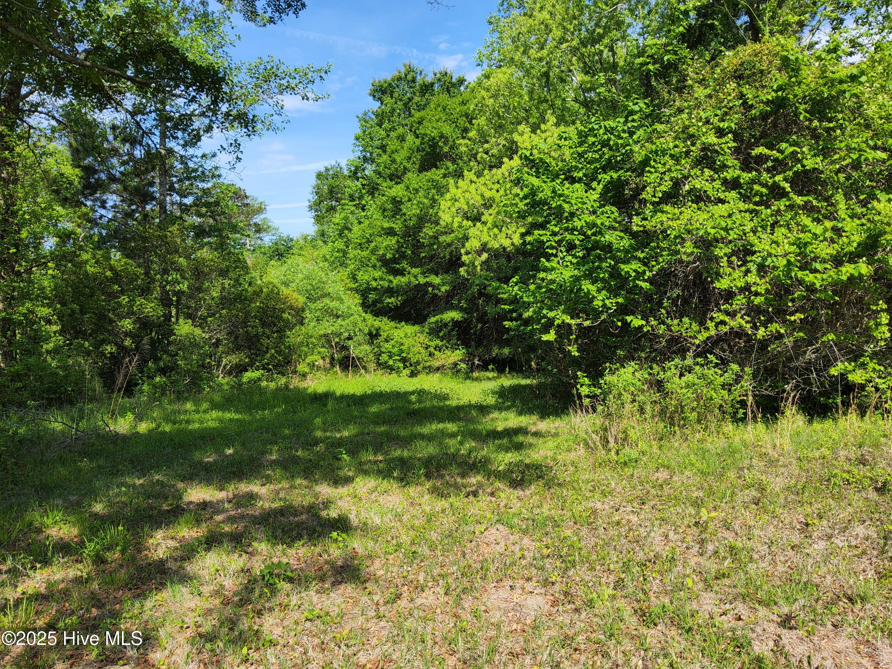 Lot 0 State Highway Hampstead, NC 28443 - Photo 10 of 10 1000000462