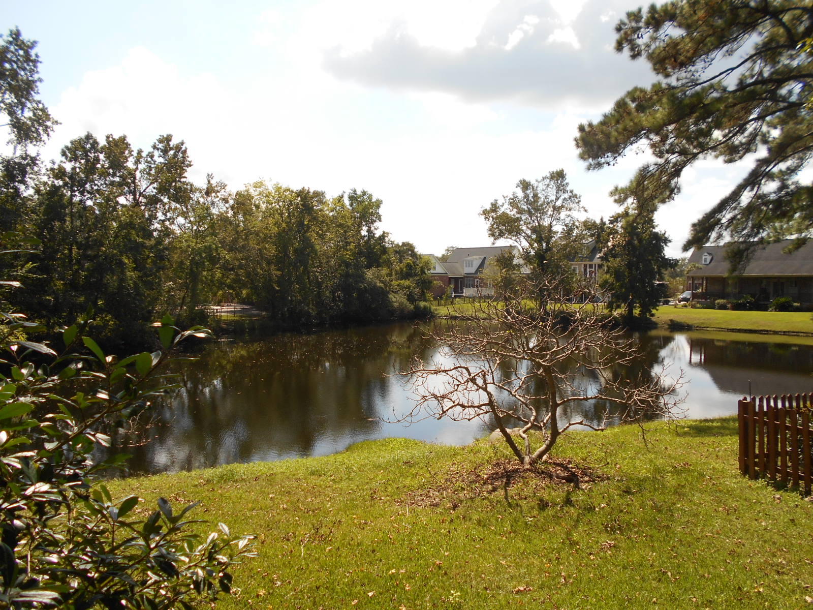 2297 Pristine View Road Charleston, SC 29414 - Photo 5 of 22 DSCN3960