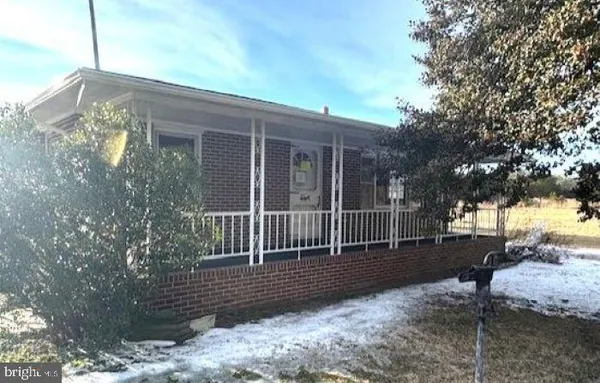 a view of backyard with large trees and wooden fence