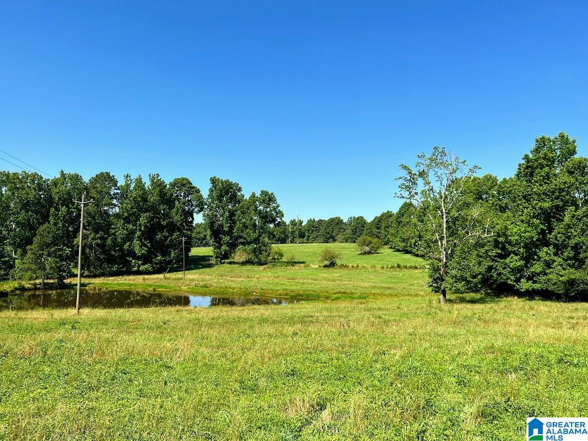 0 County Road 10, Unit X Ranburne, AL 36273 - Photo 16 of 32