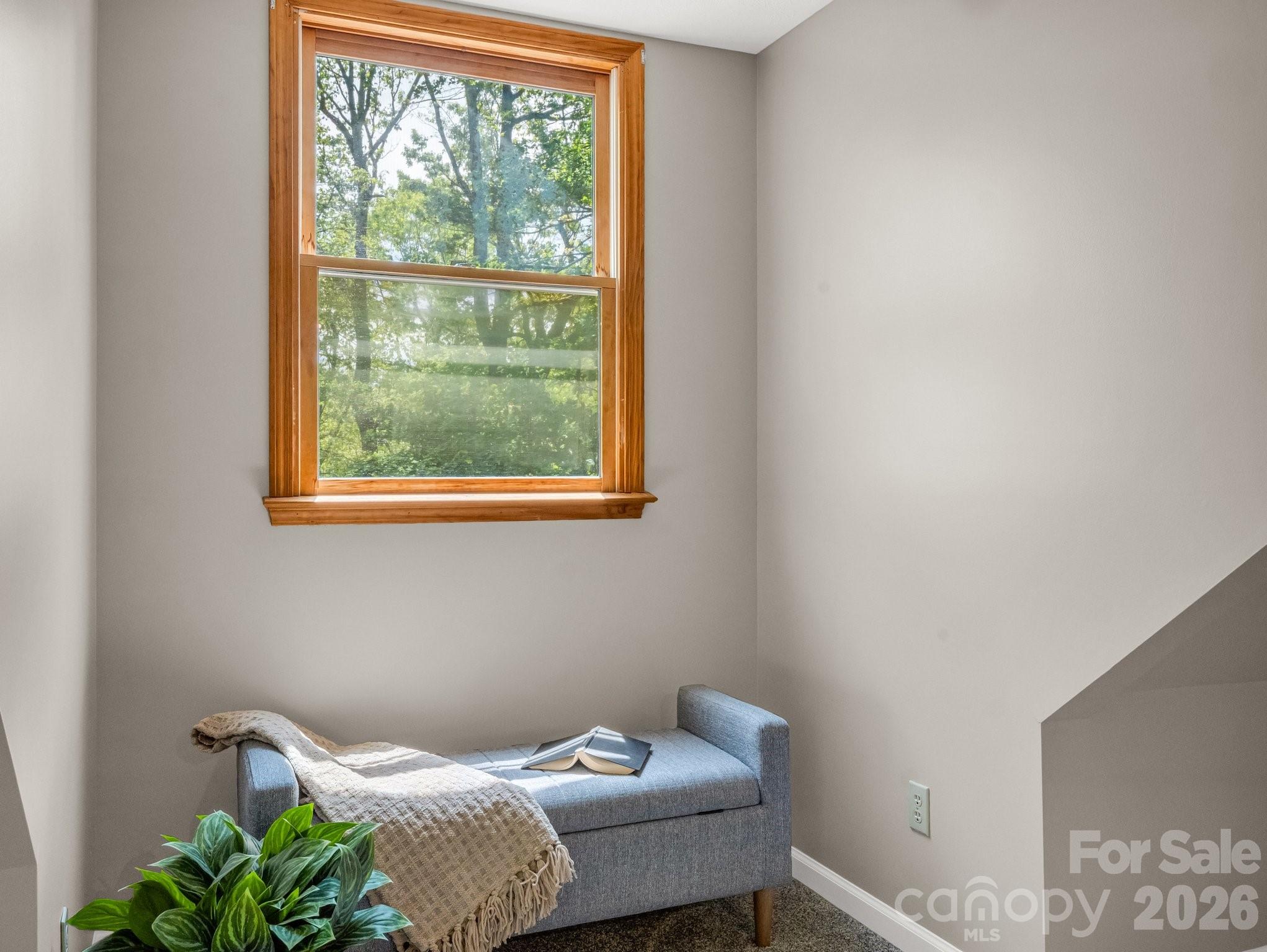 2304 Mountain Page Road Saluda, NC 28773 - Photo 26 of 38