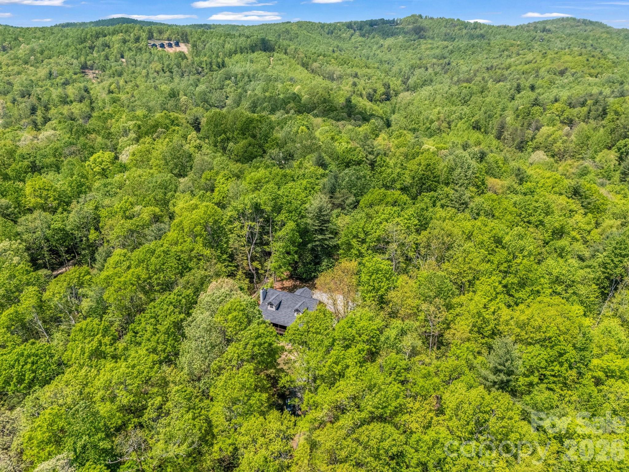 2304 Mountain Page Road Saluda, NC 28773 - Photo 34 of 38