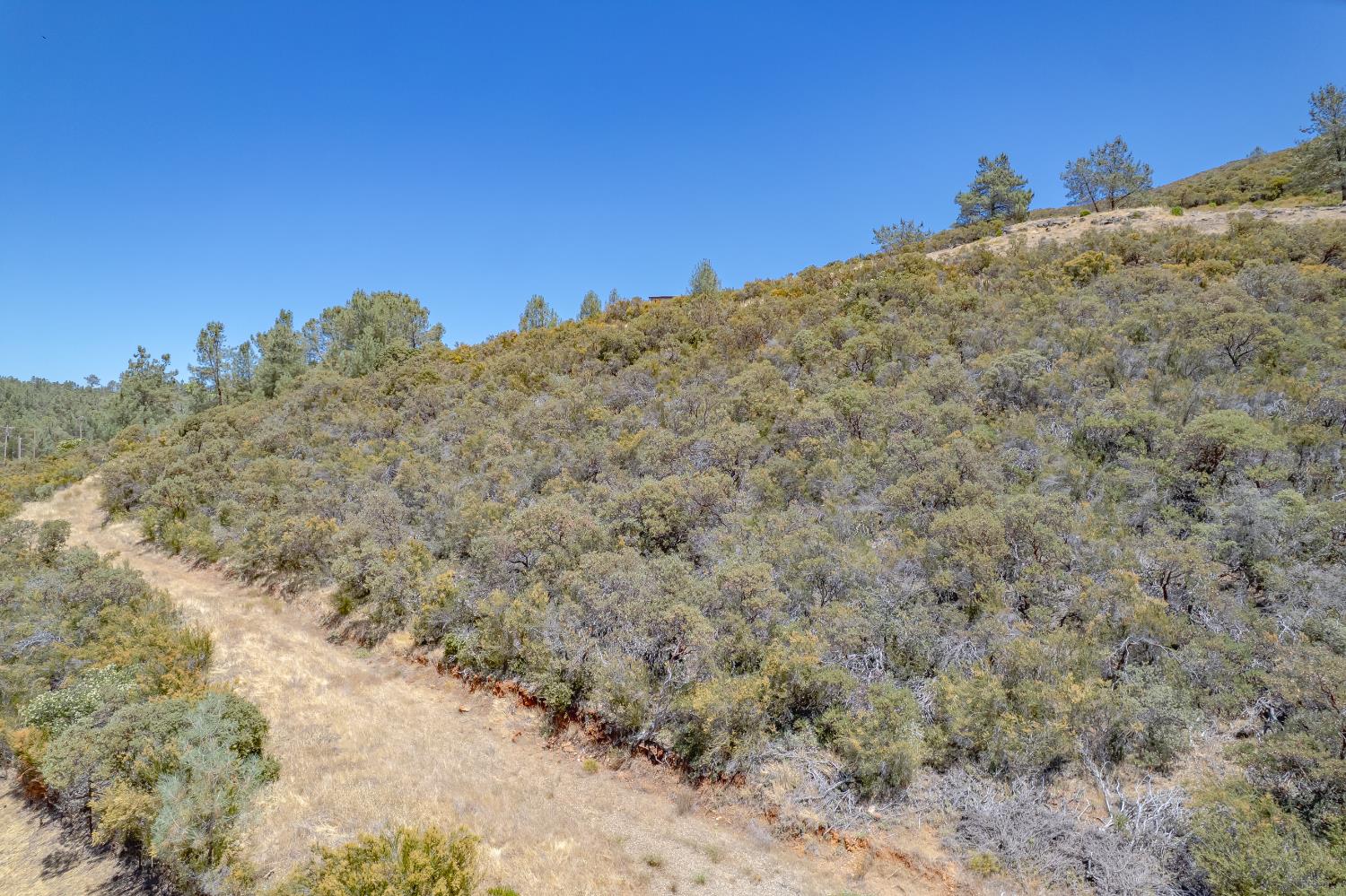 417 Salmon Falls Road El Dorado Hills, CA 95762 - Photo 44 of 47 a view of a dry yard with a mountain in the background