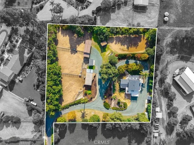 a view of a house with potted plants