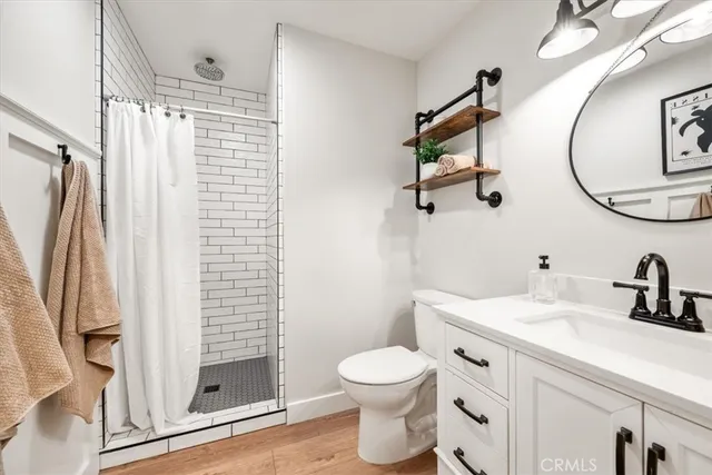 a view of a garden with plants and large trees