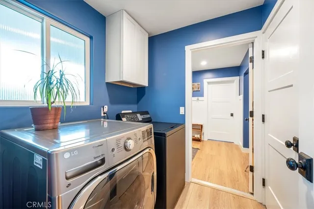 a view of a yard with plants and trees