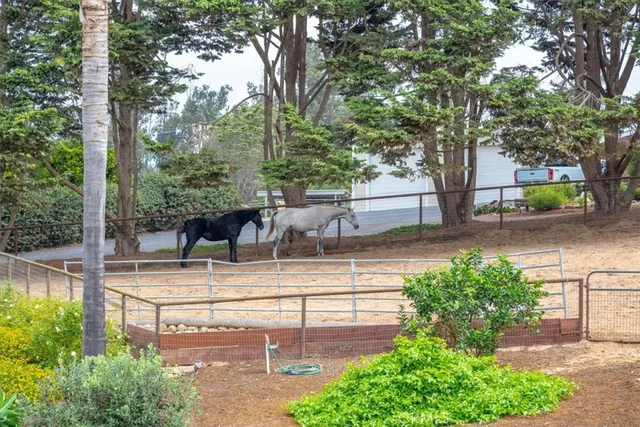 a view of a street with trees on both side