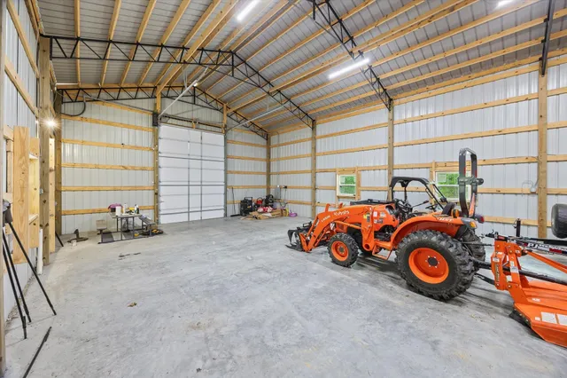 a view of a yard with plants and large trees