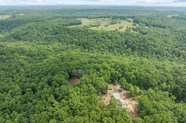a view of a green field with lots of bushes