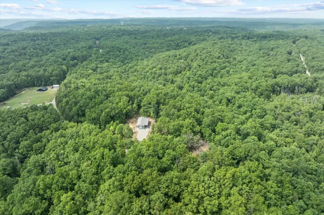 a view of a big yard with lots of green space and deers