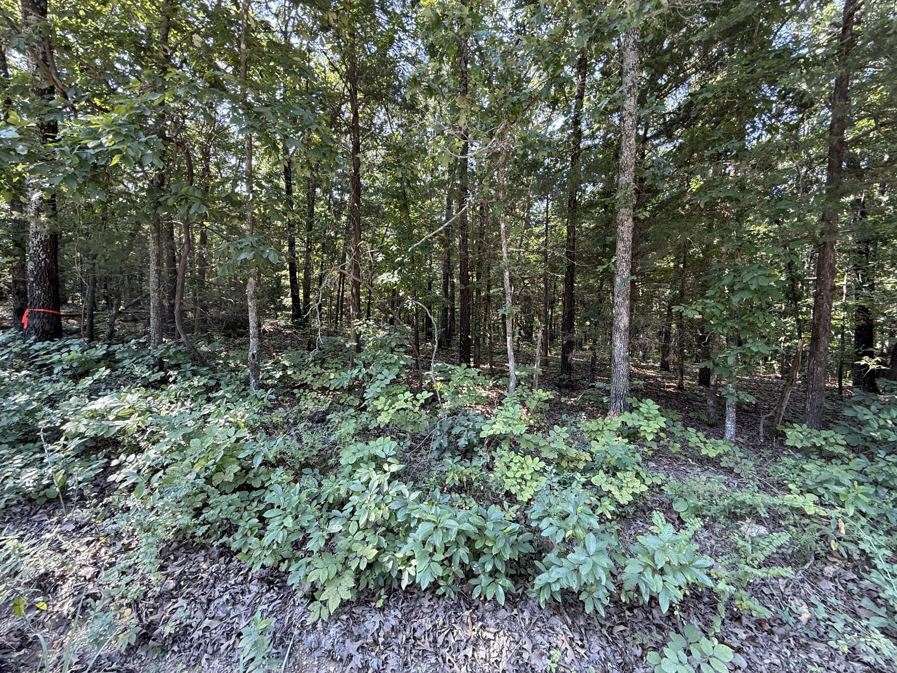16-ac Spring Valley Road Shell Knob, MO 65747 - Photo 6 of 6 Both Lots