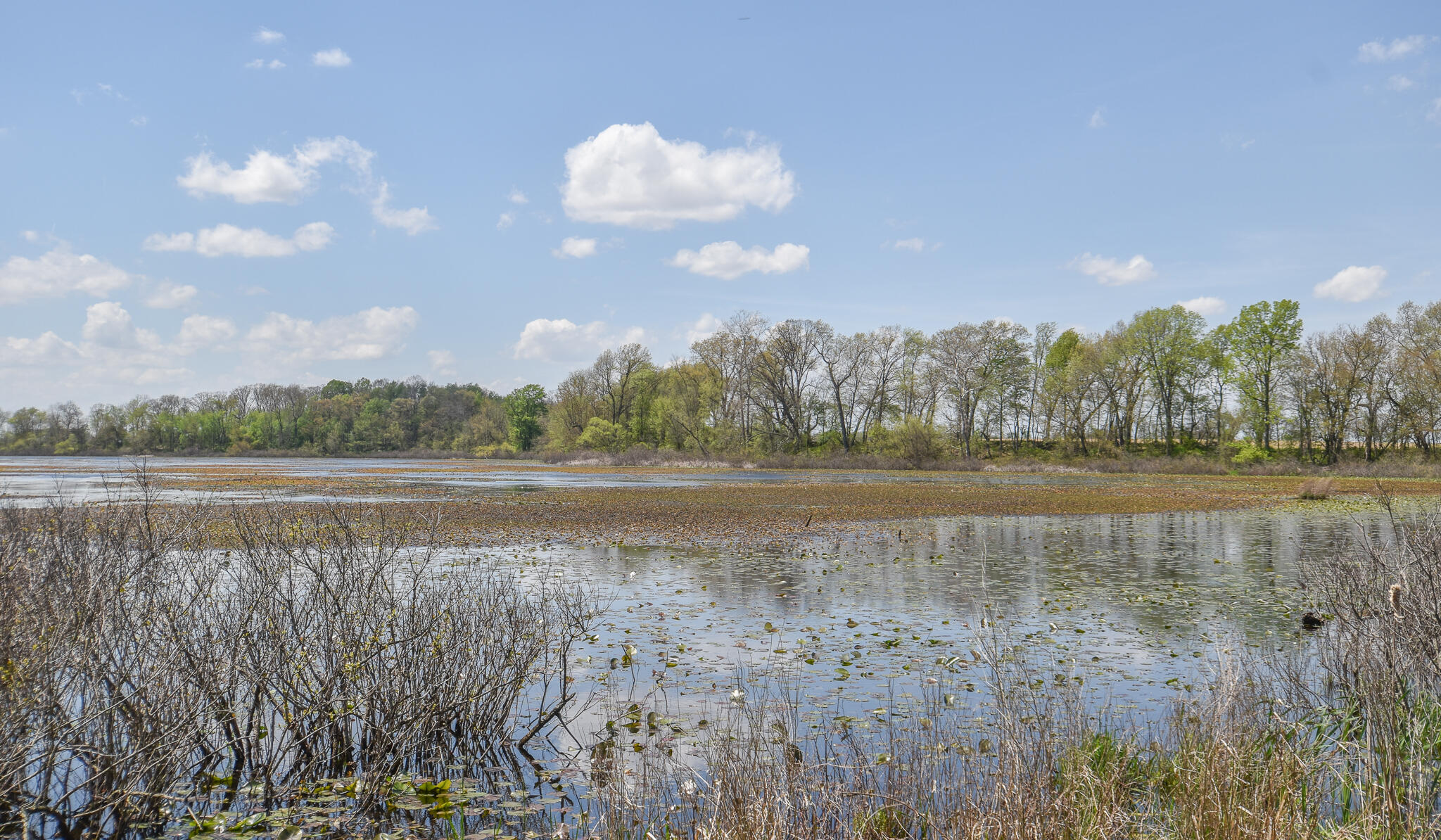 414 River Road Coldwater, MI 49036 - Photo 5 of 37 DSC_0010