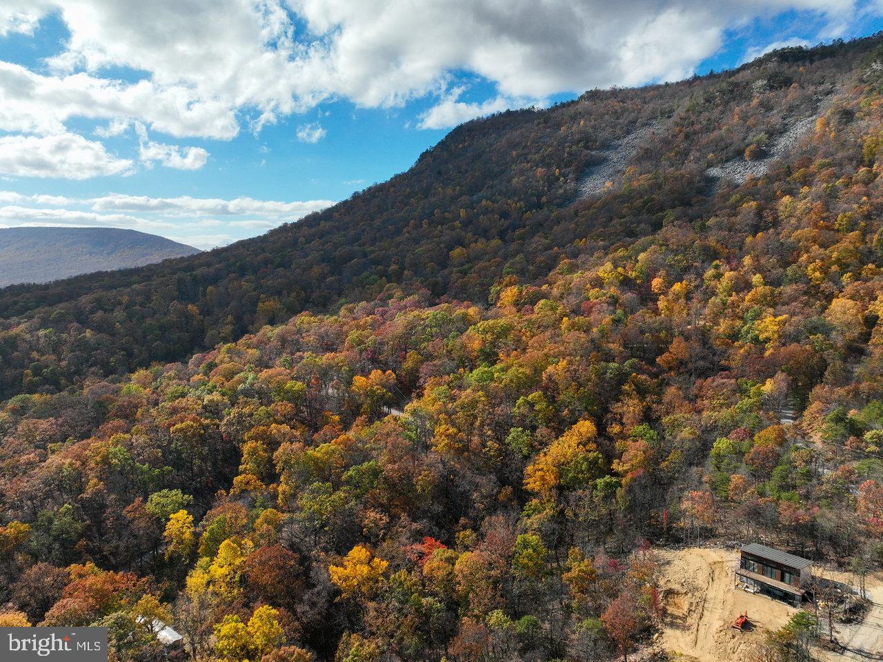 187 Holly Hl Road Luray, VA 22835 - Photo 11 of 60 Autumn's vibrant tapestry on mountain slopes.