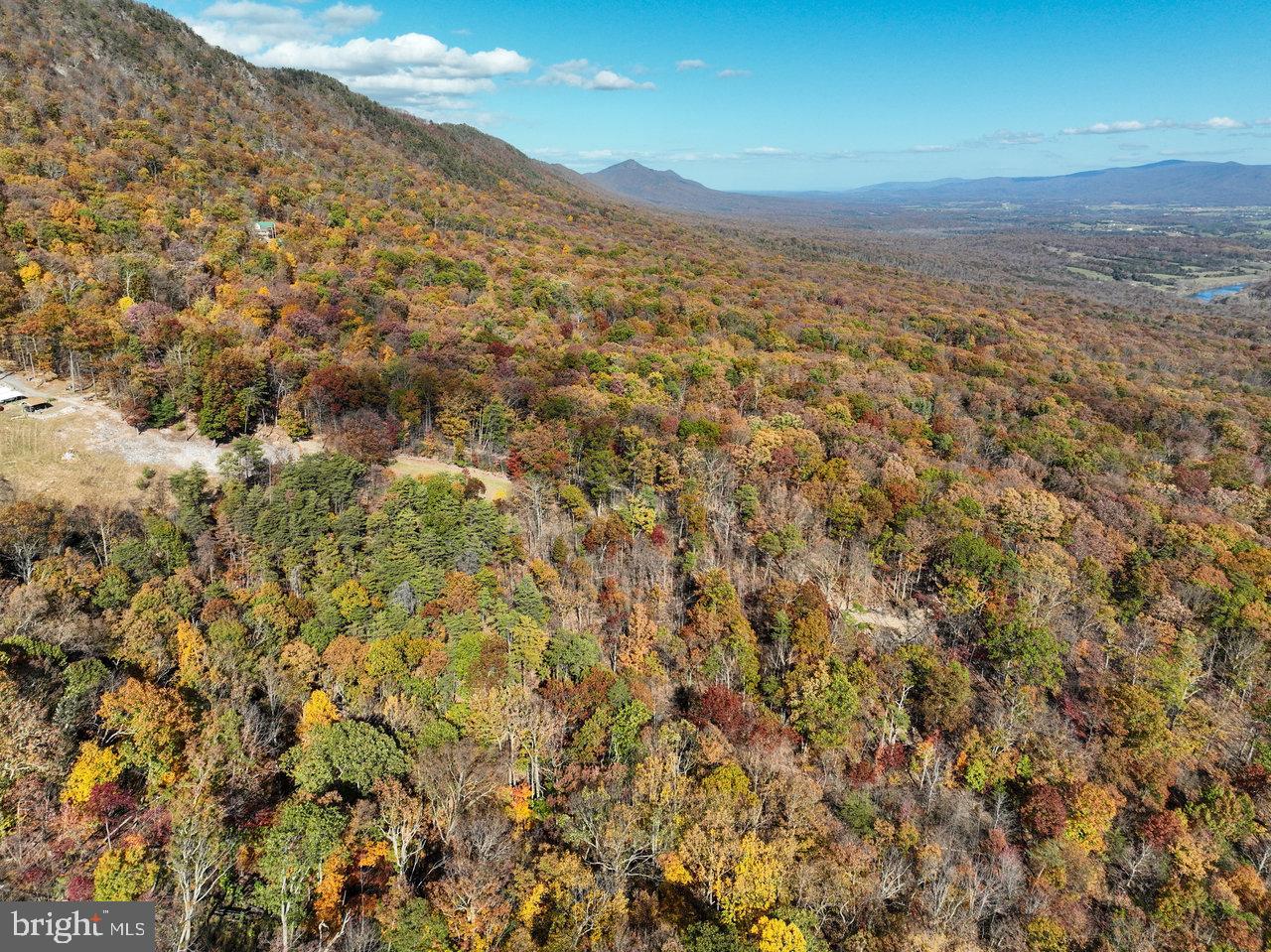 187 Holly Hl Road Luray, VA 22835 - Photo 12 of 60 a view of a field with an ocean