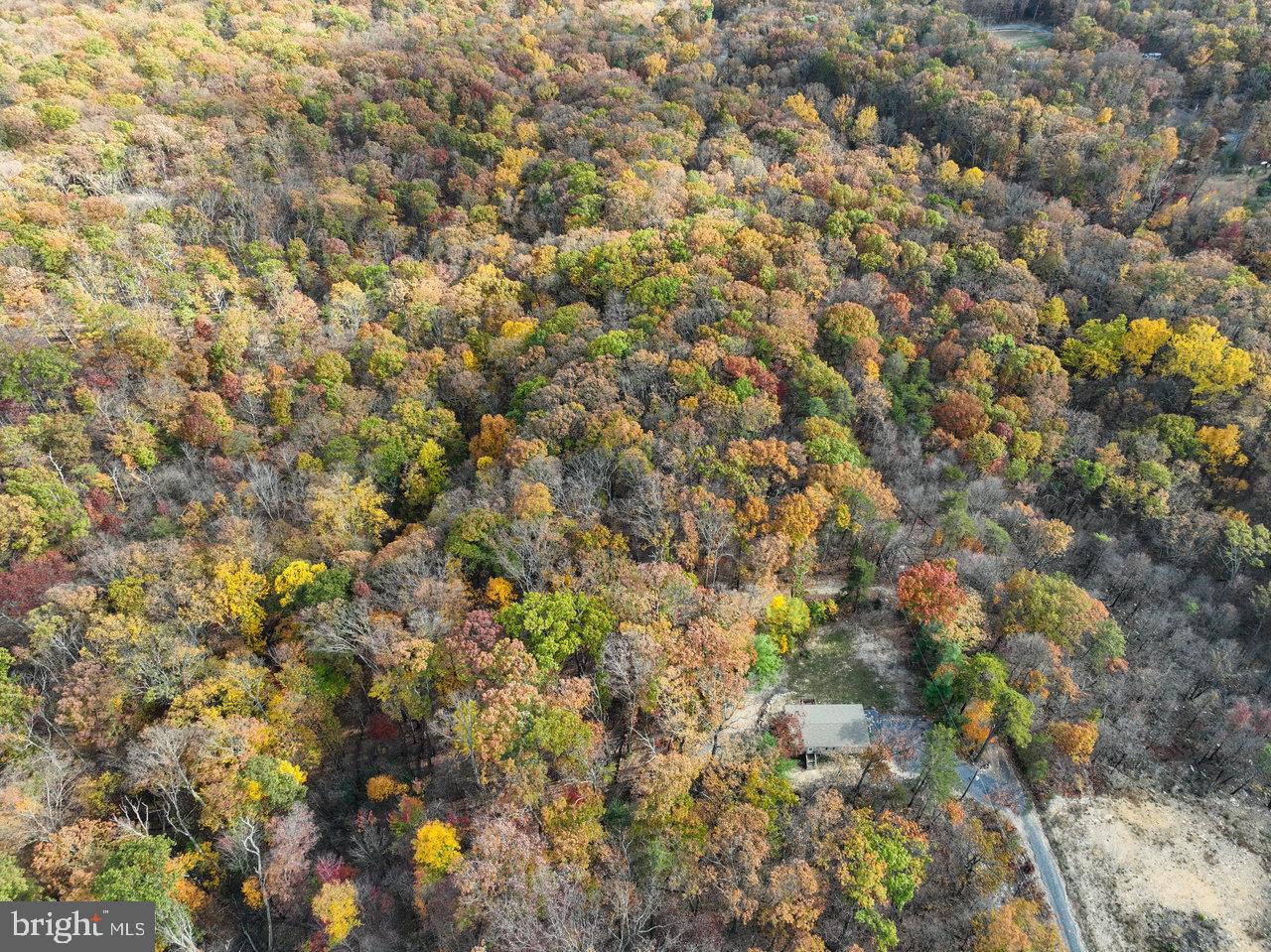 187 Holly Hl Road Luray, VA 22835 - Photo 13 of 60 a view of a tree