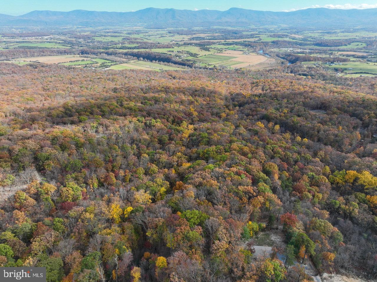 187 Holly Hl Road Luray, VA 22835 - Photo 14 of 60 a view of an ocean and beach