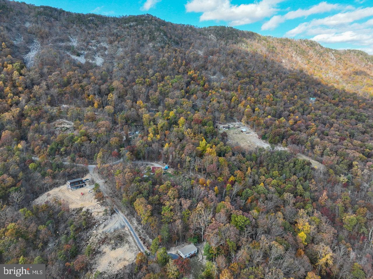 187 Holly Hl Road Luray, VA 22835 - Photo 16 of 60 a view of a dry yard with green space