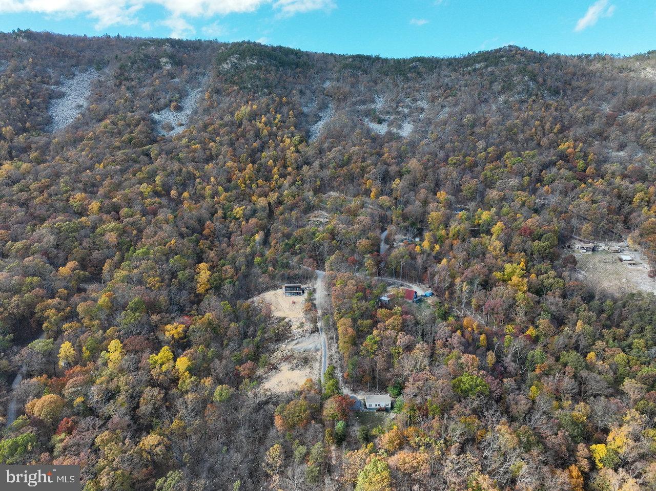 187 Holly Hl Road Luray, VA 22835 - Photo 17 of 60 a view of a dry yard with green space
