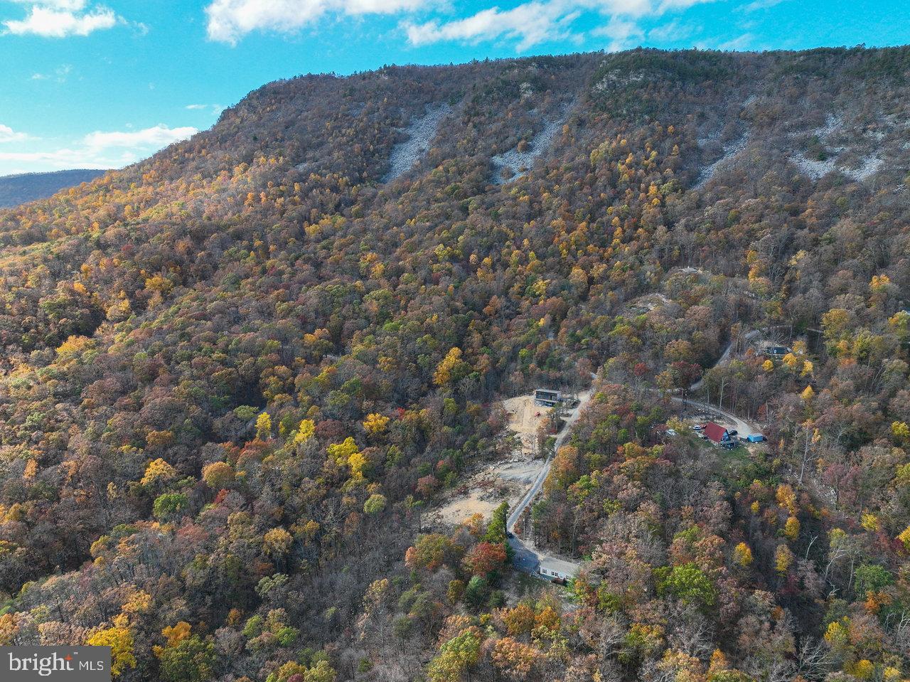 187 Holly Hl Road Luray, VA 22835 - Photo 18 of 60 a view of a dry yard with lots of trees