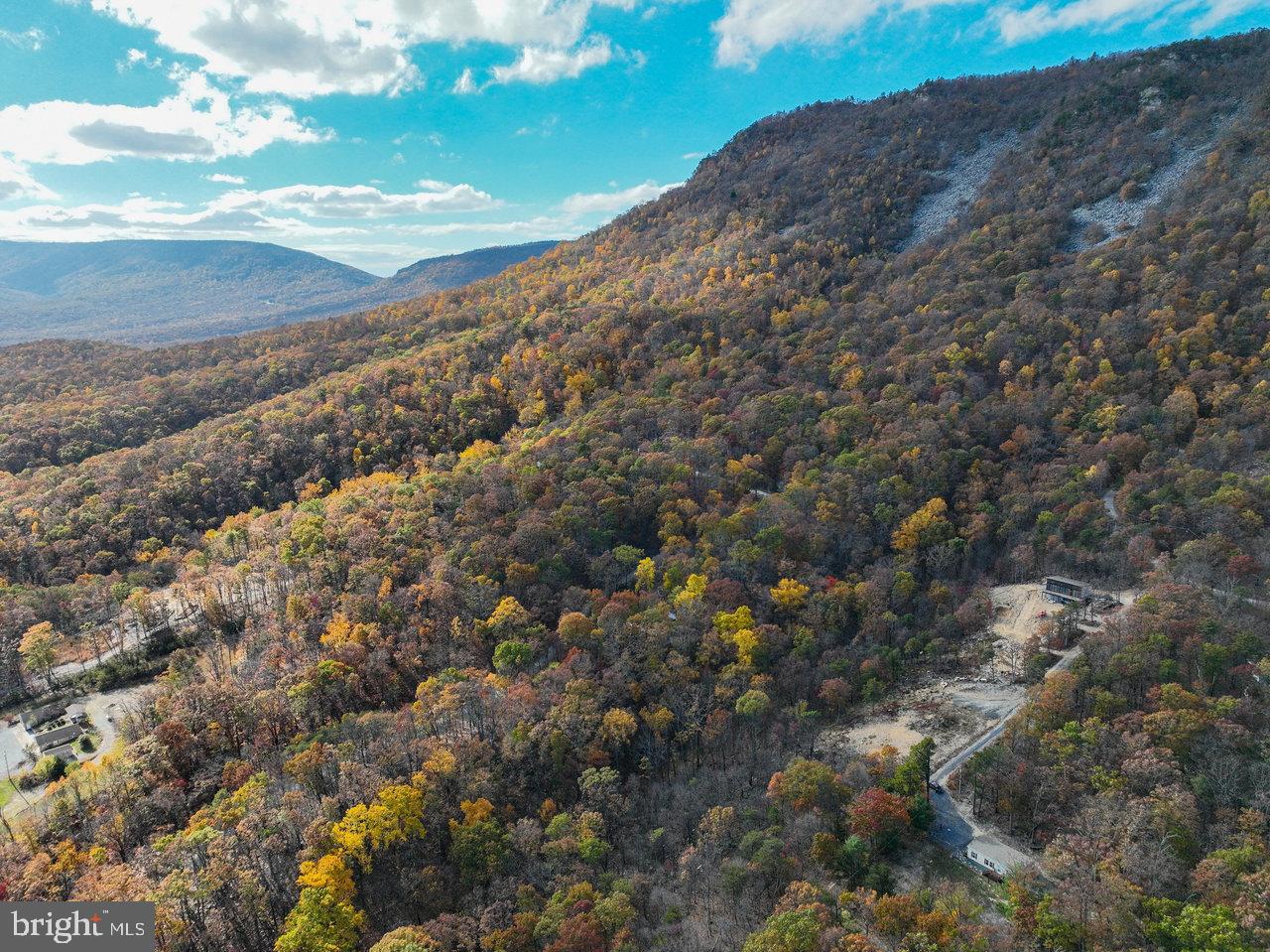 187 Holly Hl Road Luray, VA 22835 - Photo 19 of 60 Autumn hues blanket the serene mountainscape.