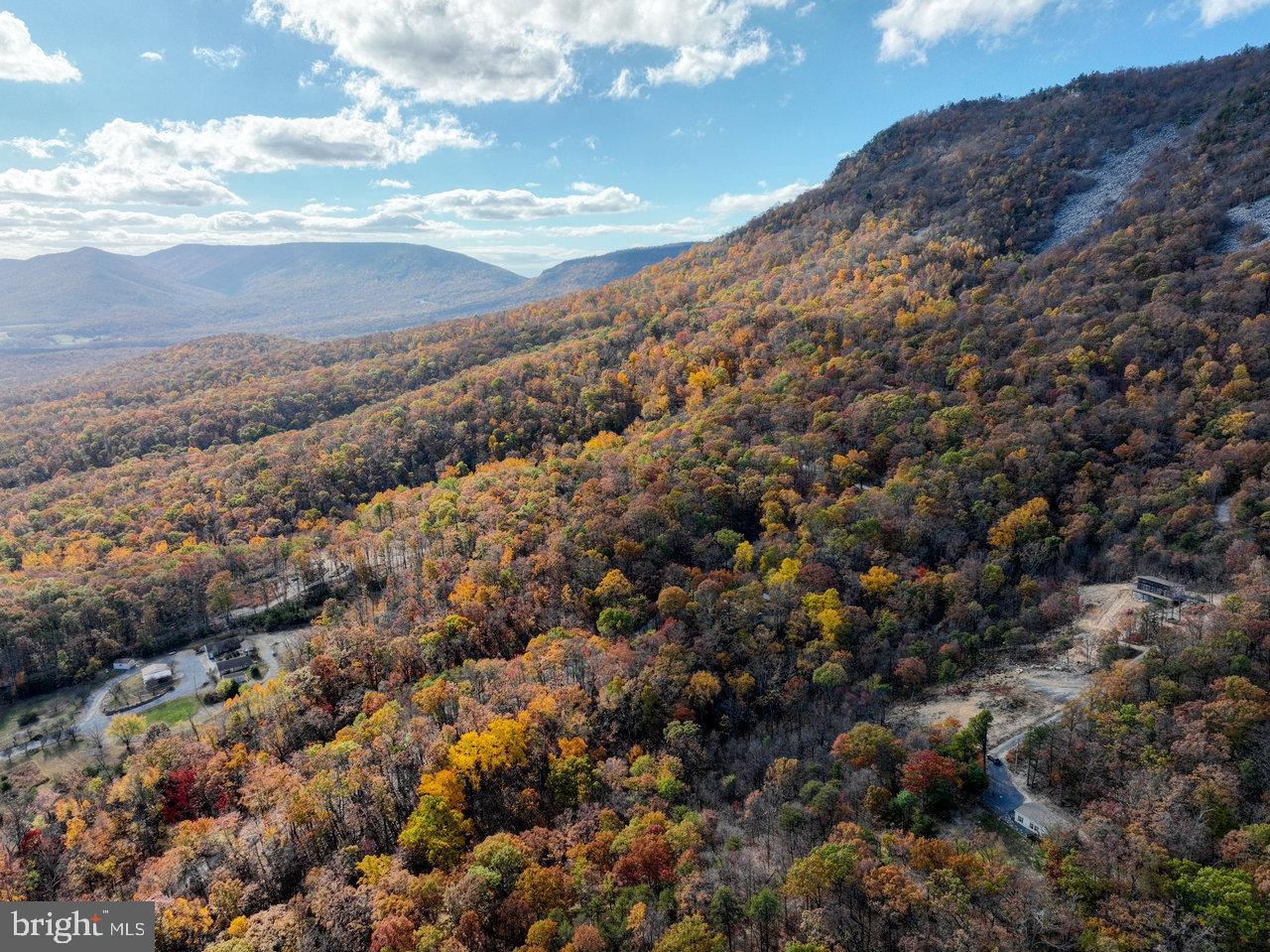 187 Holly Hl Road Luray, VA 22835 - Photo 20 of 60 a view of a building