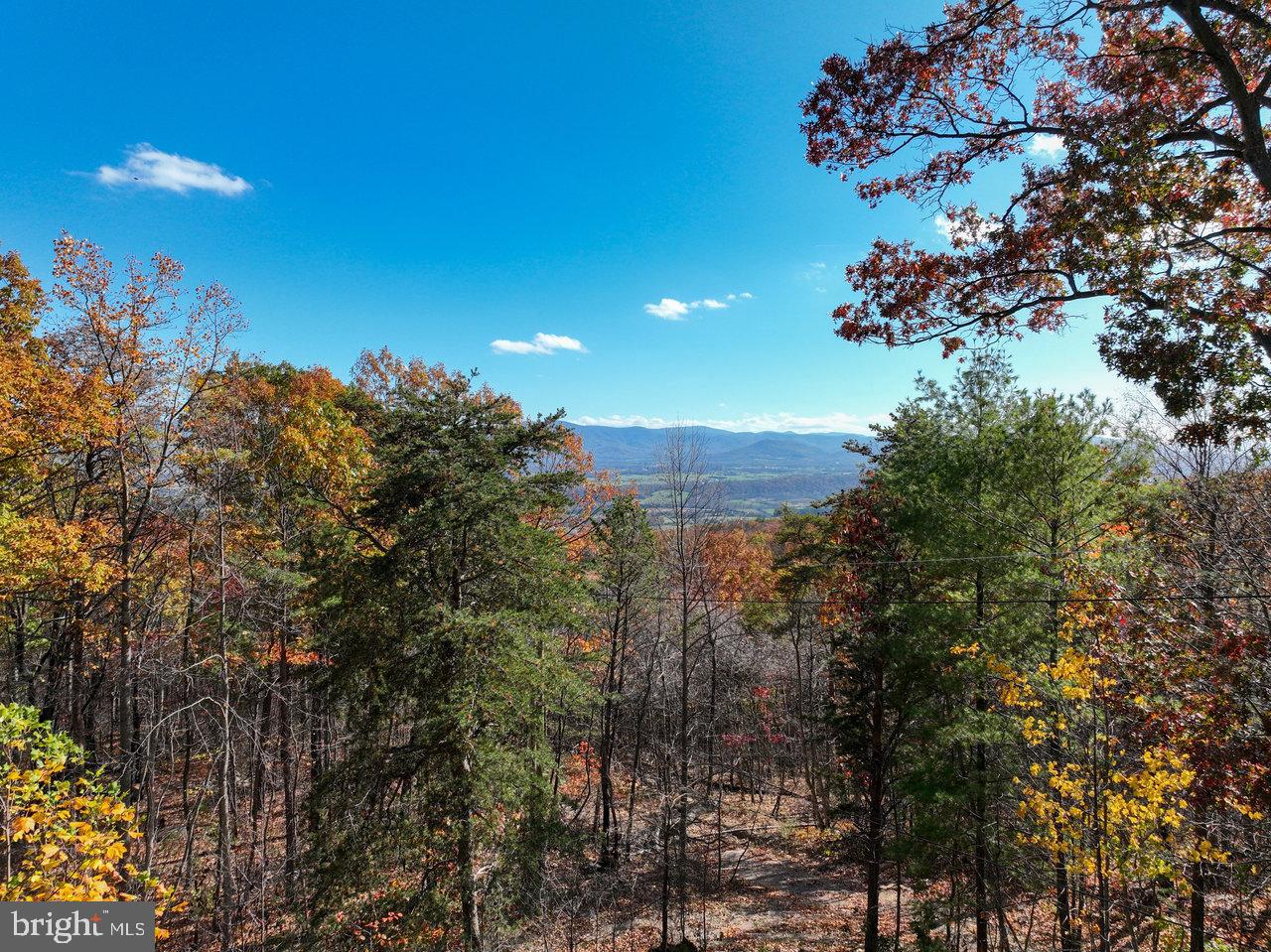187 Holly Hl Road Luray, VA 22835 - Photo 2 of 60 Autumn's embrace over tranquil mountains.