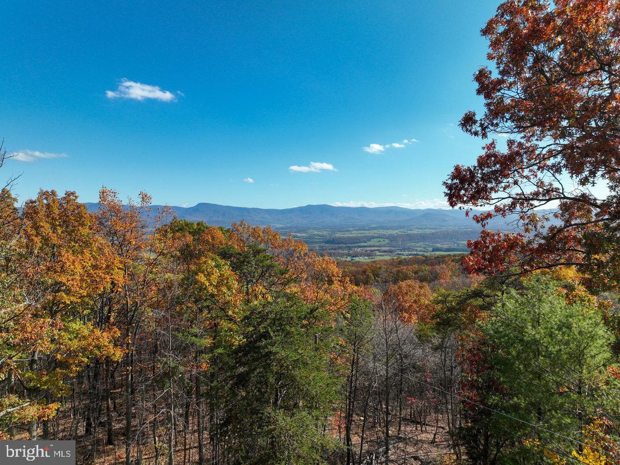 187 Holly Hl Road Luray, VA 22835 - Photo 3 of 60 Autumn hues embrace a serene mountain vista.