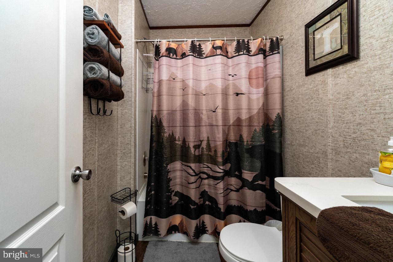 187 Holly Hl Road Luray, VA 22835 - Photo 37 of 60 a bathroom with a sink toilet and shower