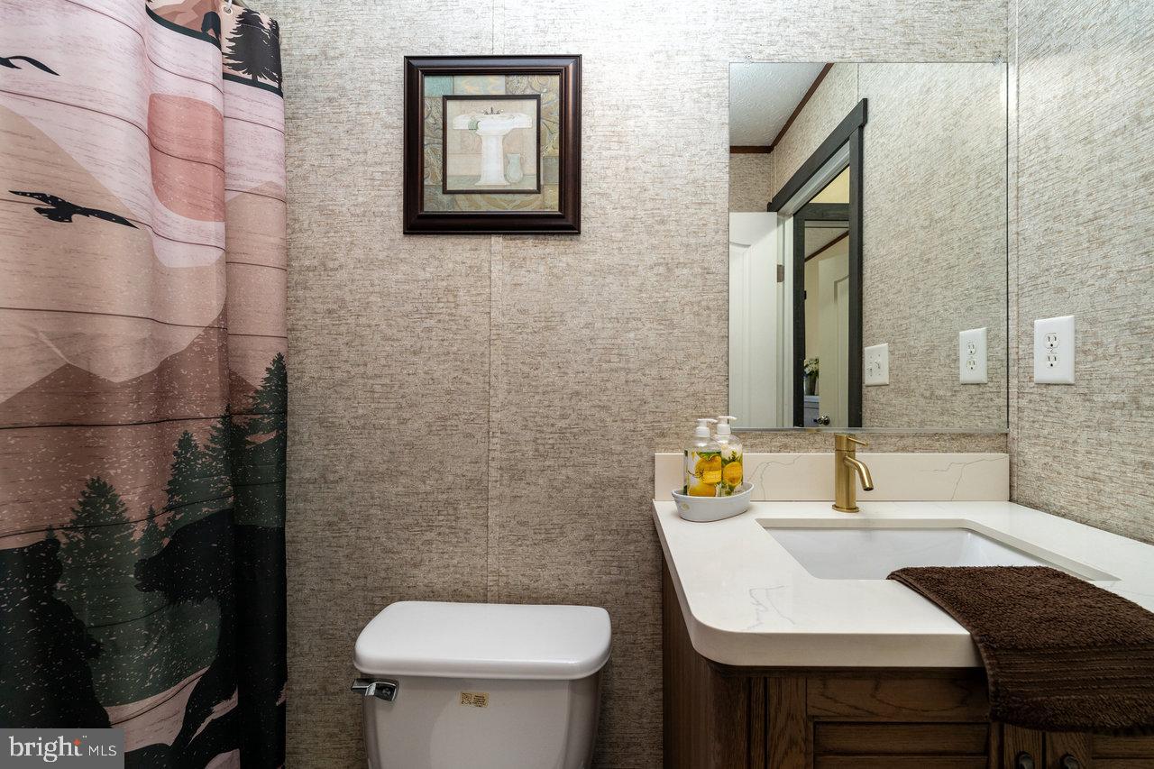 187 Holly Hl Road Luray, VA 22835 - Photo 38 of 60 a bathroom with a sink toilet and mirror