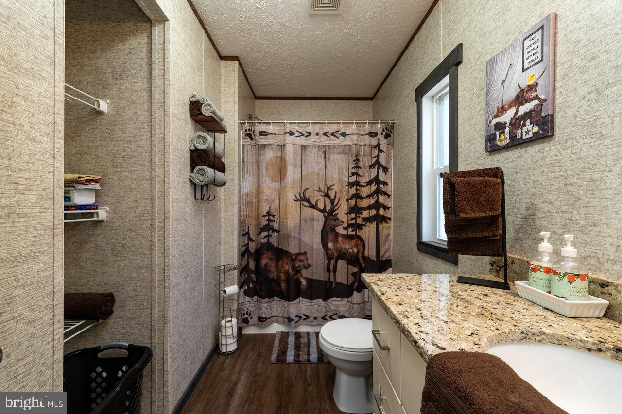 187 Holly Hl Road Luray, VA 22835 - Photo 43 of 60 a bathroom with a granite countertop sink toilet and shower