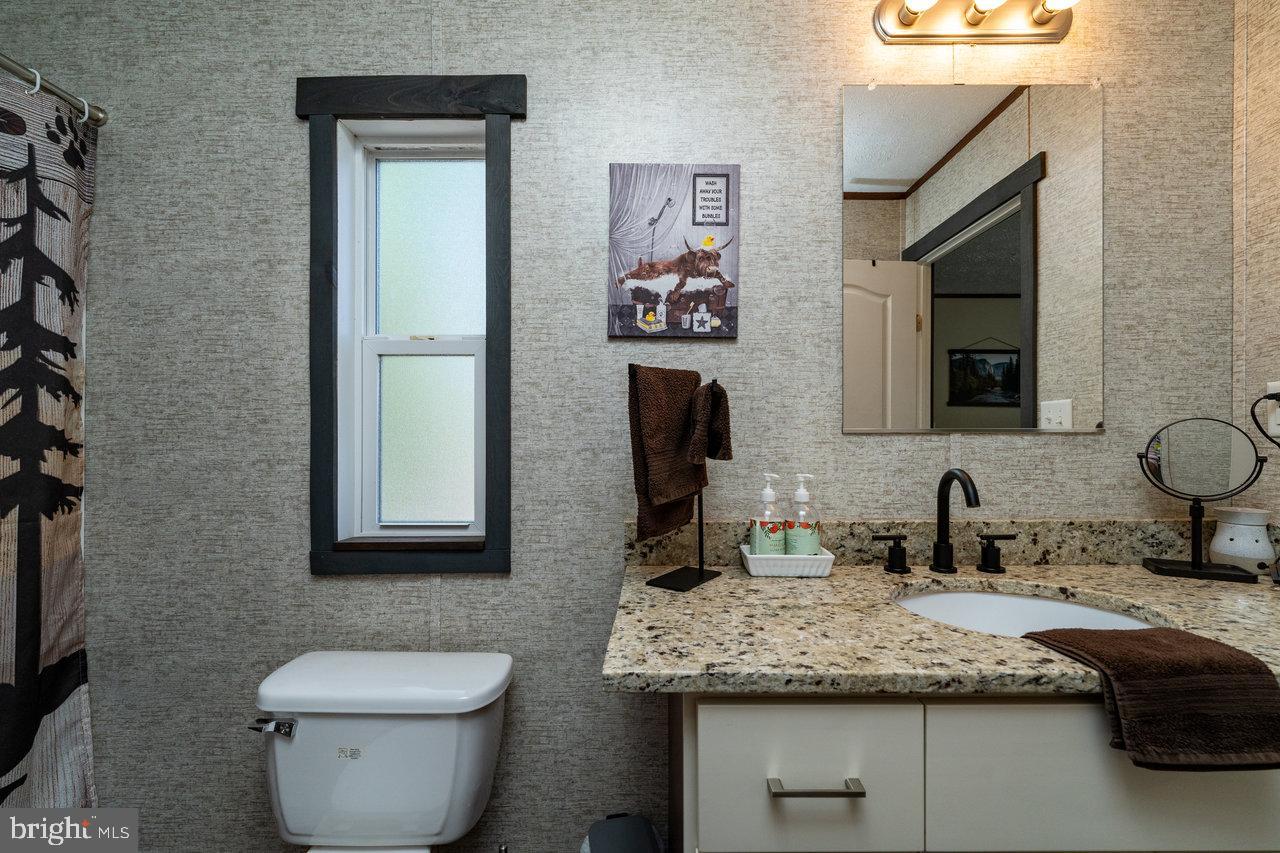 187 Holly Hl Road Luray, VA 22835 - Photo 44 of 60 a bathroom with a granite countertop toilet sink and mirror