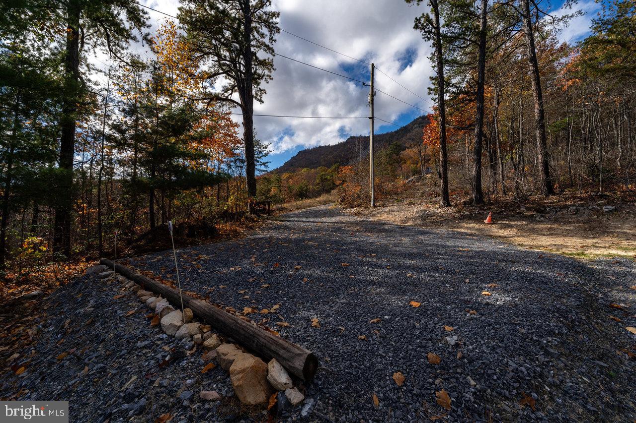 187 Holly Hl Road Luray, VA 22835 - Photo 47 of 60 a backyard of a house