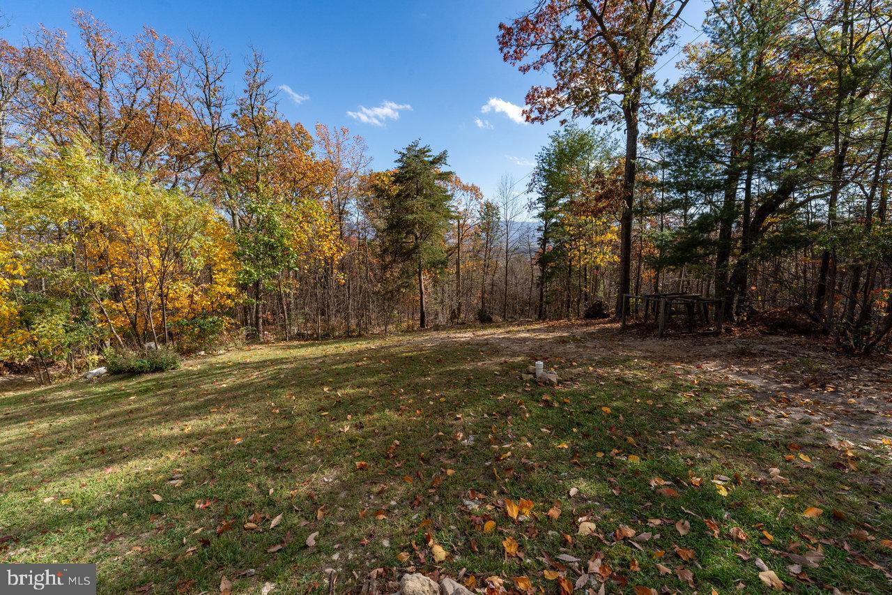 187 Holly Hl Road Luray, VA 22835 - Photo 54 of 60 a view of a field with trees in background