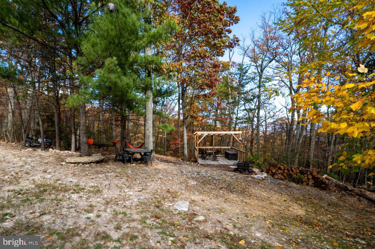 187 Holly Hl Road Luray, VA 22835 - Photo 55 of 60 a view of a park with large trees