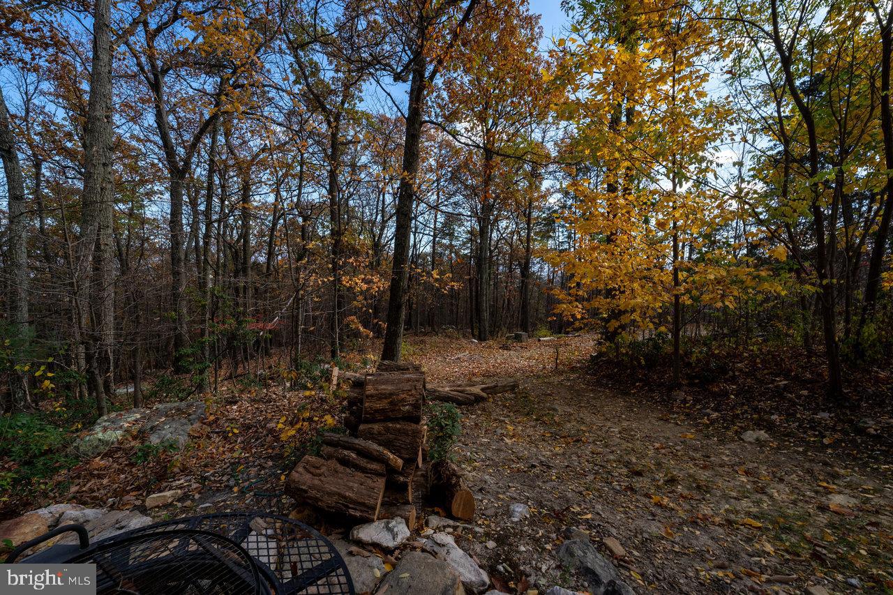 187 Holly Hl Road Luray, VA 22835 - Photo 57 of 60 Autumn hues frame a tranquil woodland path.