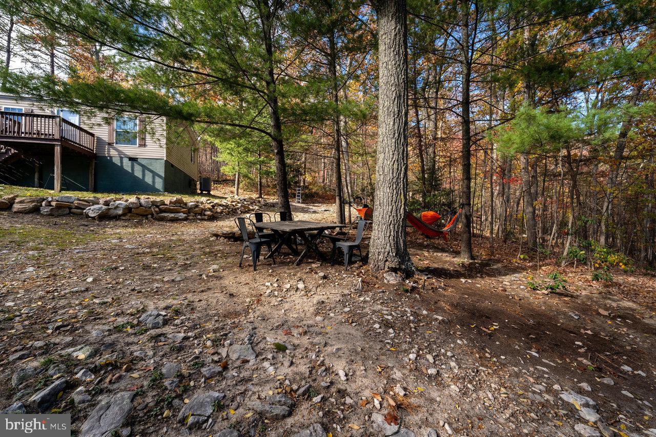 187 Holly Hl Road Luray, VA 22835 - Photo 58 of 60 Serene outdoor retreat among the trees.