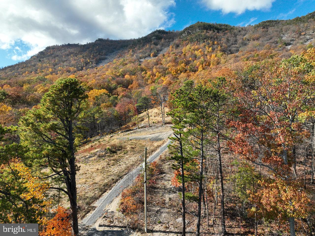 187 Holly Hl Road Luray, VA 22835 - Photo 8 of 60 a view of mountain view with mountain