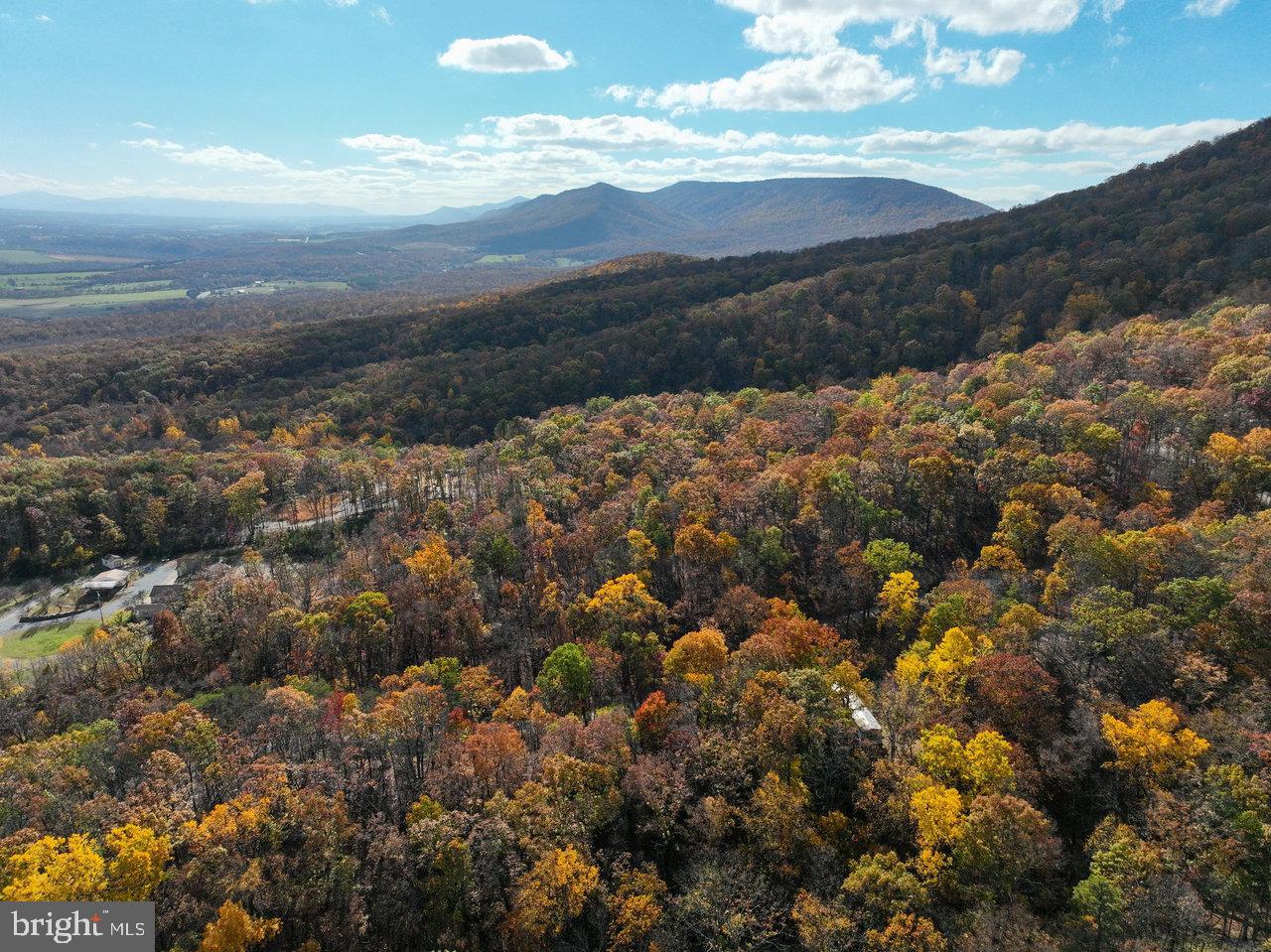 187 Holly Hl Road Luray, VA 22835 - Photo 10 of 60 Autumn hues blanket the rolling mountains.