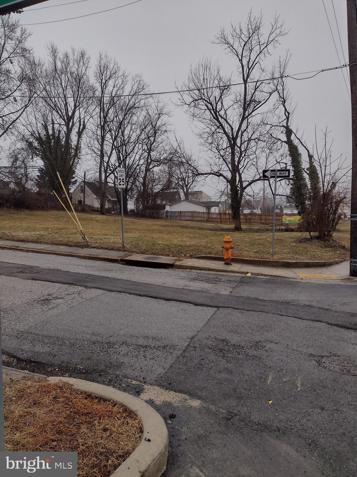 a view of a yard with large trees