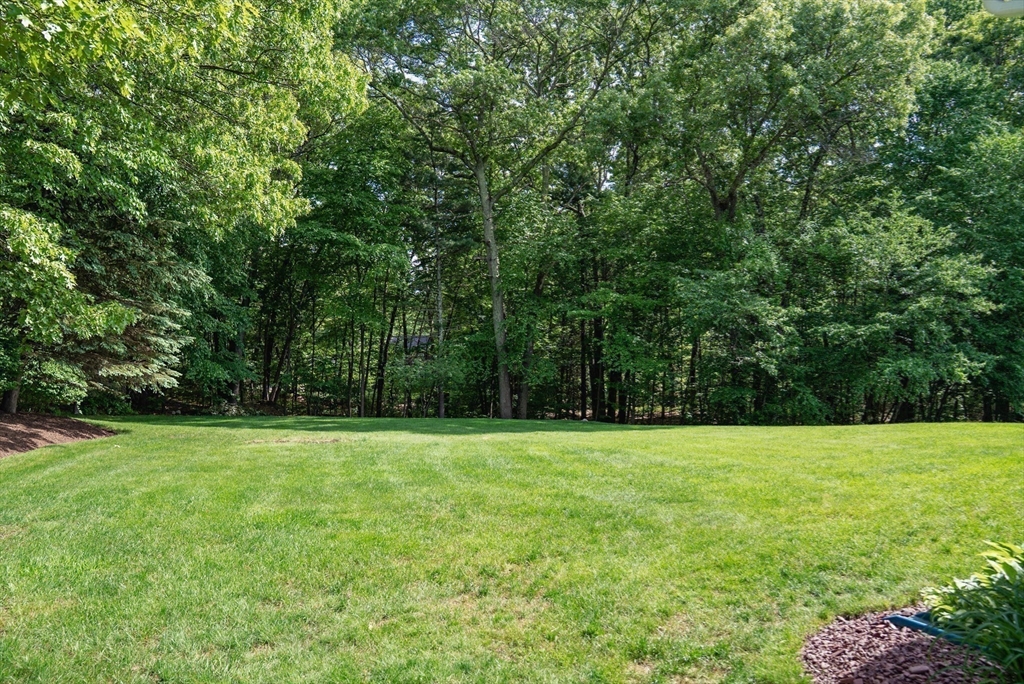 7 Tina Road Milford, MA 01757 - Photo 35 of 38