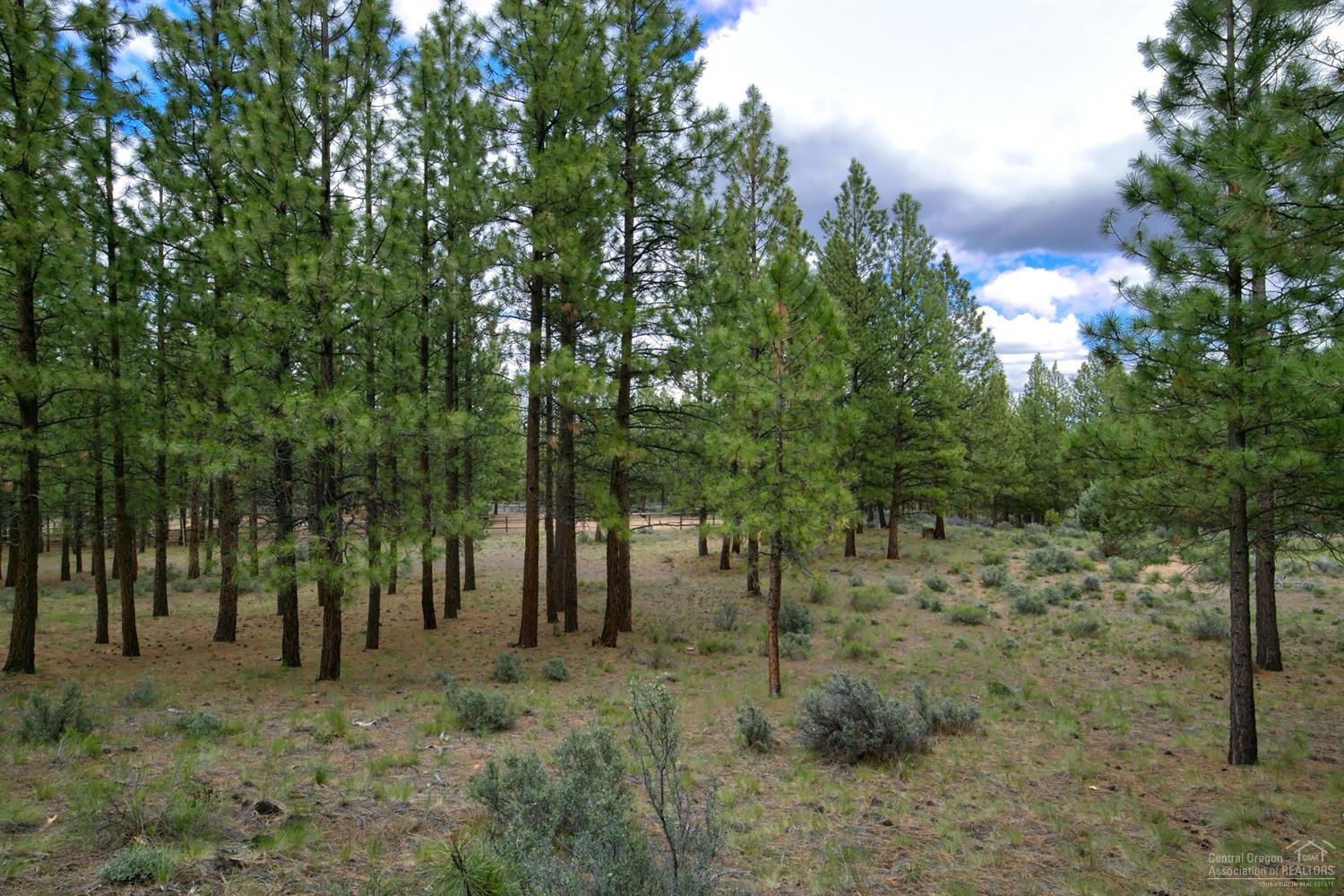 60130 East Ridgeview Drive Bend, OR 97702 - Photo 10 of 18 Additional Photo