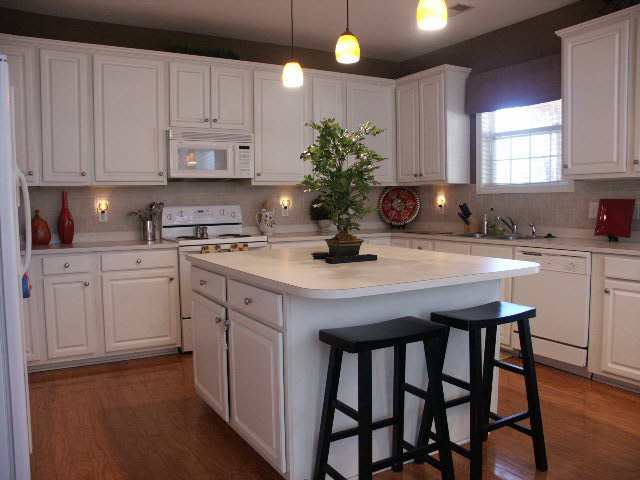 204 Tanner Chase Way Greenville, SC 29607 - Photo 3 of 25