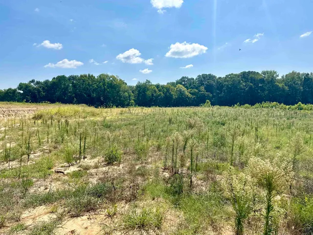 $90,000 | Lot 0002 Marshall Road, Munford, TN 38058