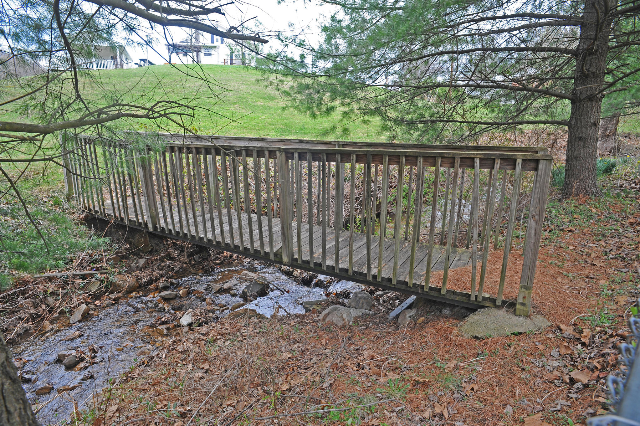 1086 Lynn Lane Blue Ridge, VA 24064 - Photo 41 of 48 DSC_0707.jpg