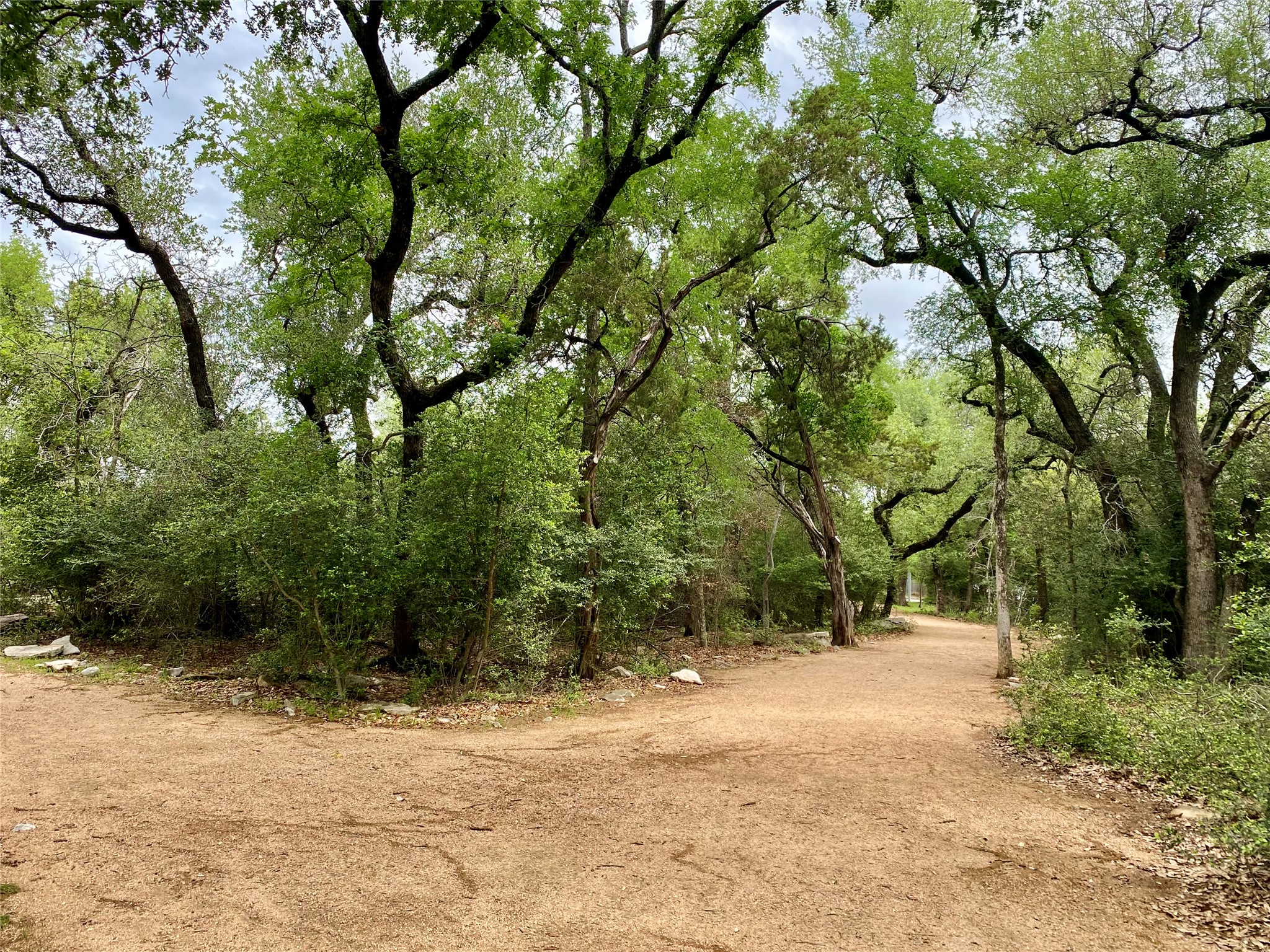 11302 Windermere Meadows Austin, TX 78759 - Photo 23 of 26 a view of outdoor space with trees