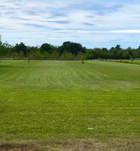 Tbd Boys Village Road Iowa, LA 70647 - Photo 2 of 3