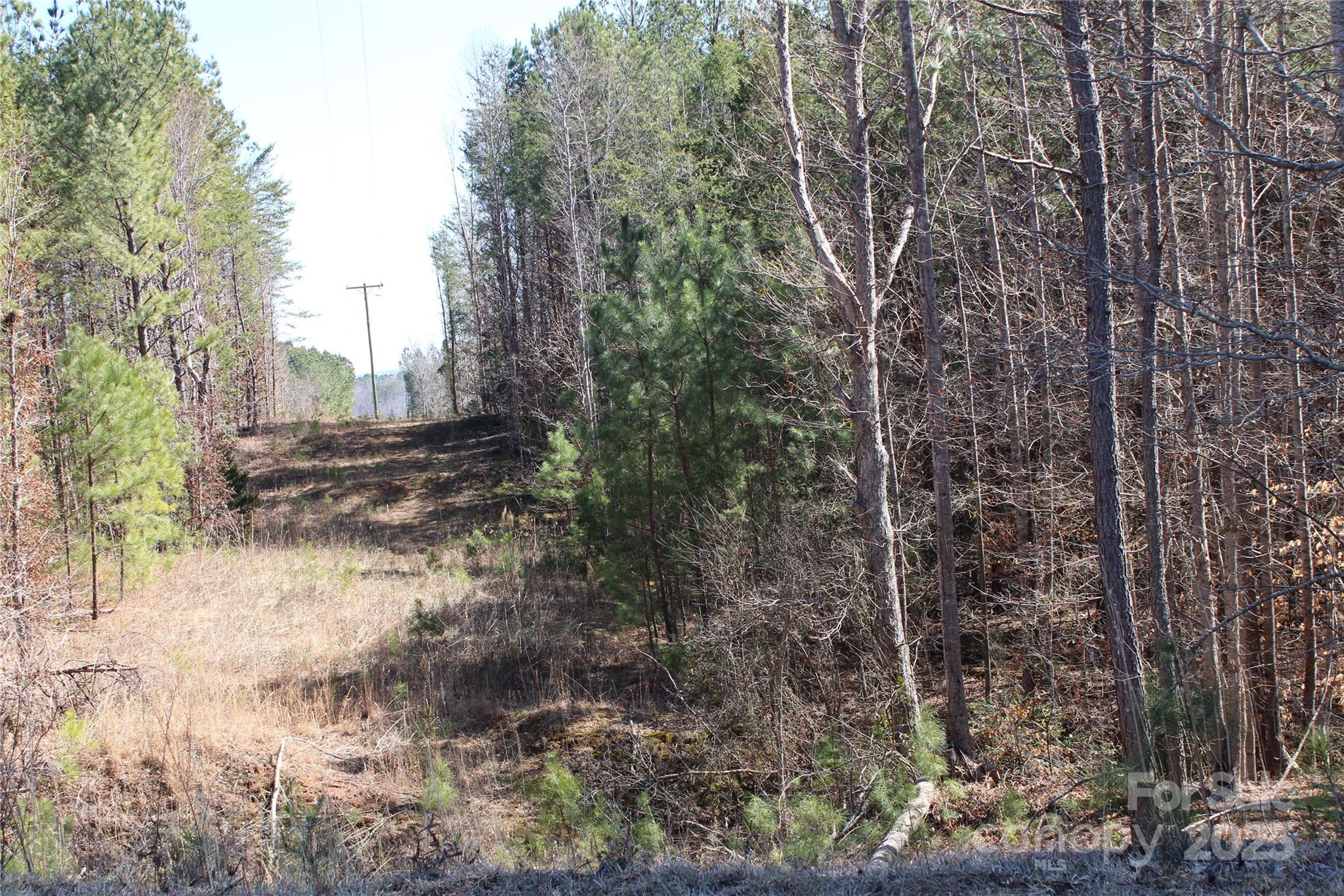 704 Centennial Road Rutherfordton, NC 28139 - Photo 1 of 18