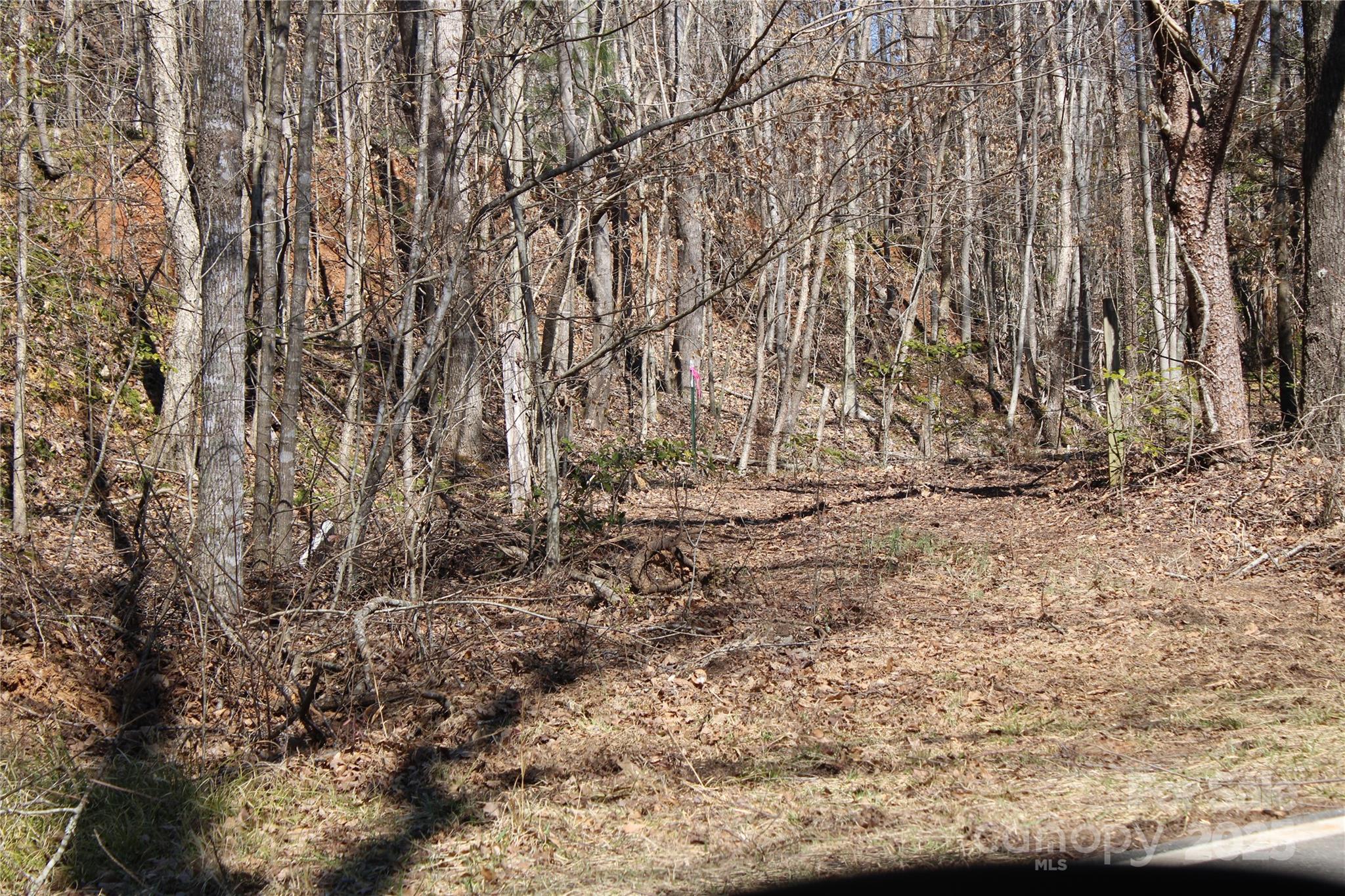 704 Centennial Road Rutherfordton, NC 28139 - Photo 17 of 18