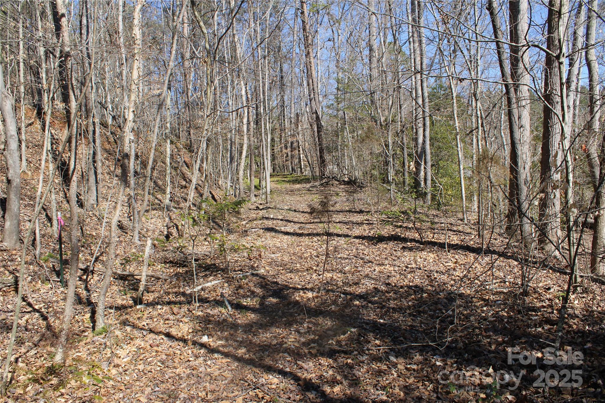 704 Centennial Road Rutherfordton, NC 28139 - Photo 2 of 18