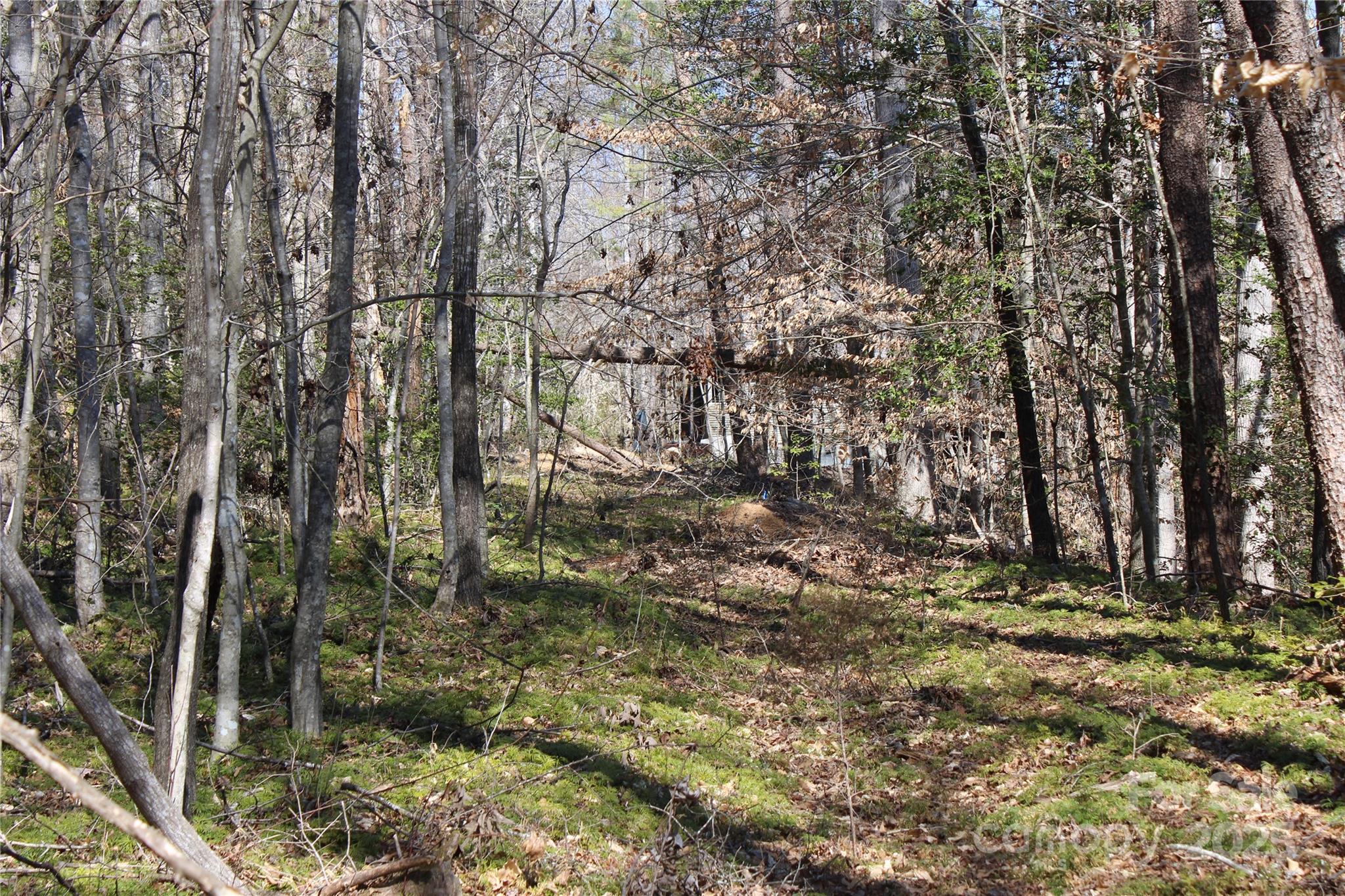 704 Centennial Road Rutherfordton, NC 28139 - Photo 7 of 18